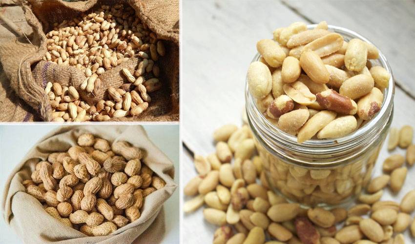 Как правильно выбрать и хранить орехи