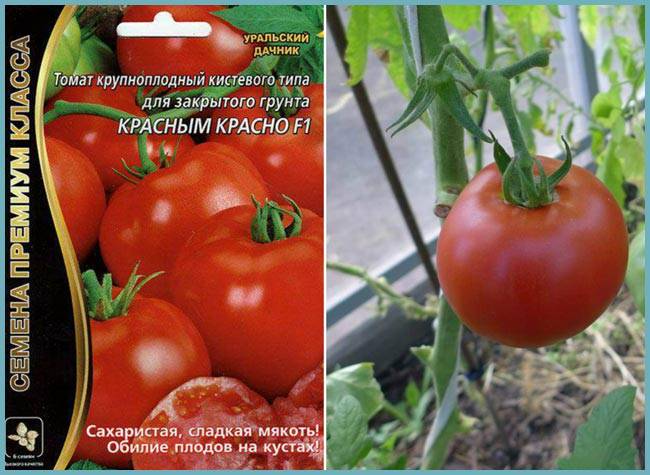 Описание сорта томата красная гвардия, рекомендации по выращиванию и уходу