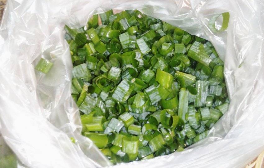 Можно ли замораживать зеленый лук: как заморозить его на зиму в домашних условиях, в каком виде, как потом применять, отзывы