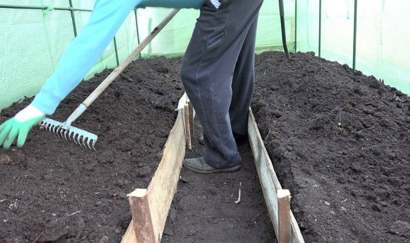 Какая почва нужна для выращивания огурцов в теплице: наилучшие параметры, состав, методы повышение плодородности