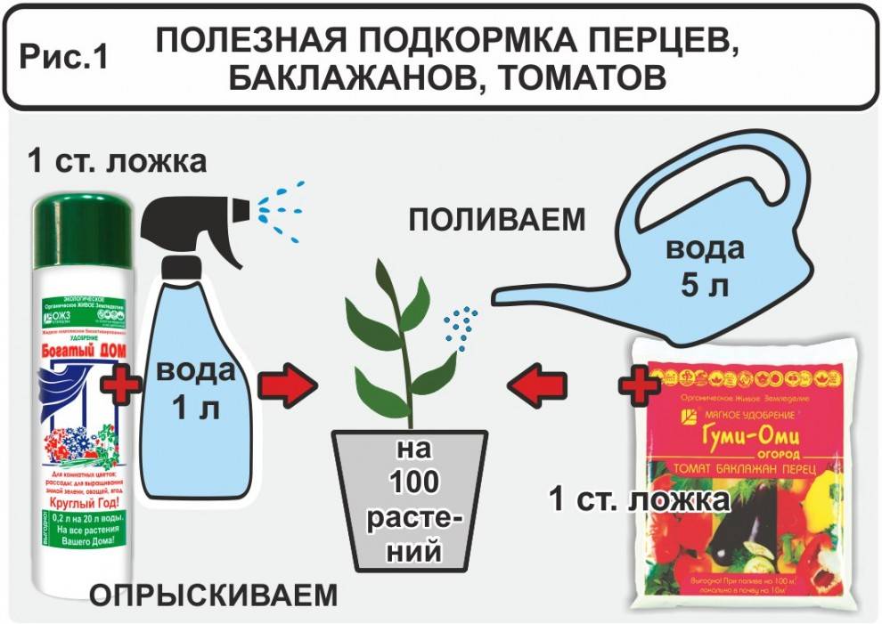 Подкормка томатов в теплице, какие удобрения и когда использовать