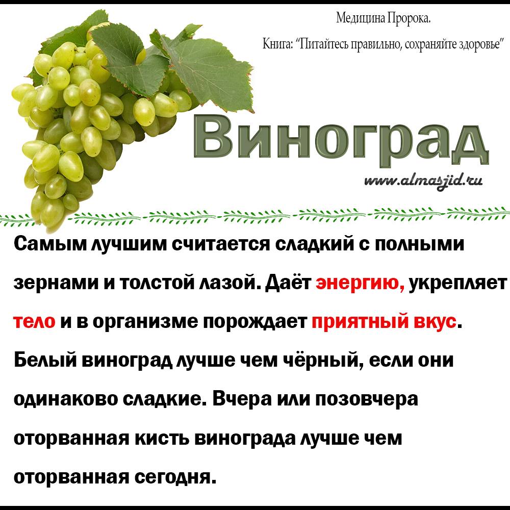 Виноград — польза и вред для здоровья организма человека, свойства и противопоказания