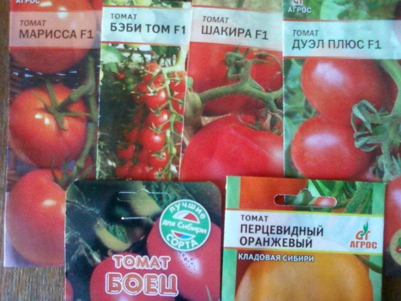 Томат «свит черри» f1: описание сорта, фото и особенности выращивания помидора русский фермер