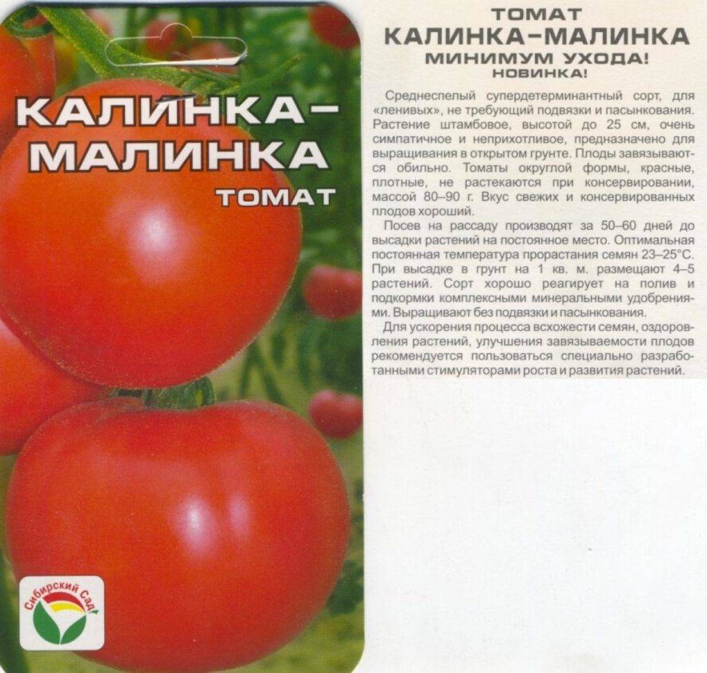 Томат малиновка: характеристика и описание сорта, отзывы, фото, урожайность