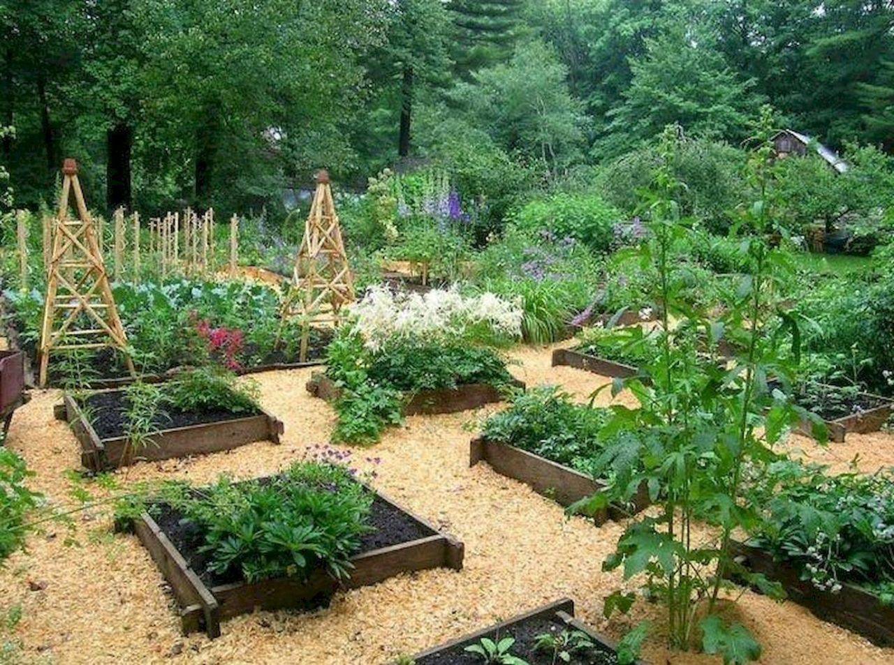 Опилки в огороде: польза или вред, применение в качестве удобрения
