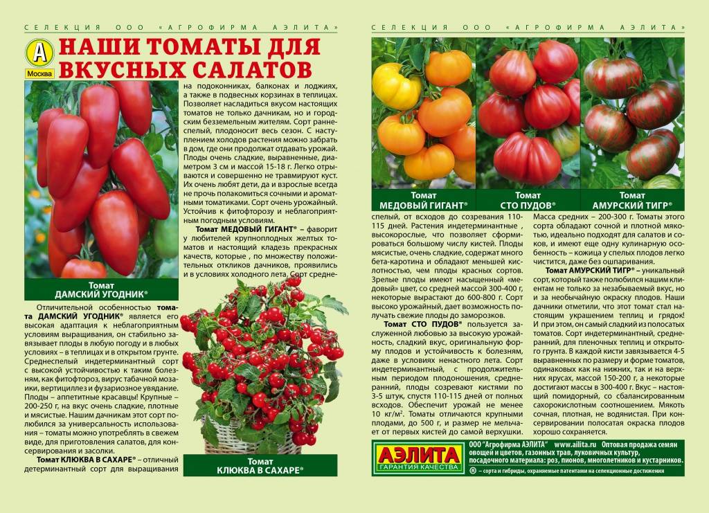 Томат цитрусовый сад – описание и агротехника