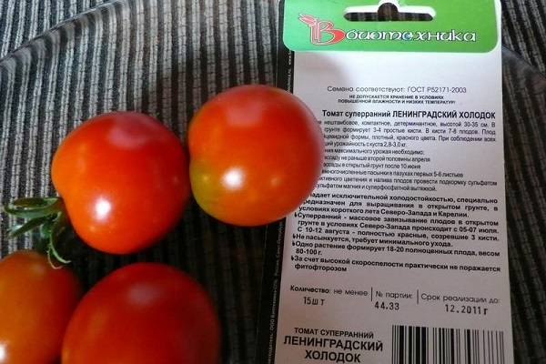 Характеристика томата Ленинградский скороспелый и техника выращивания