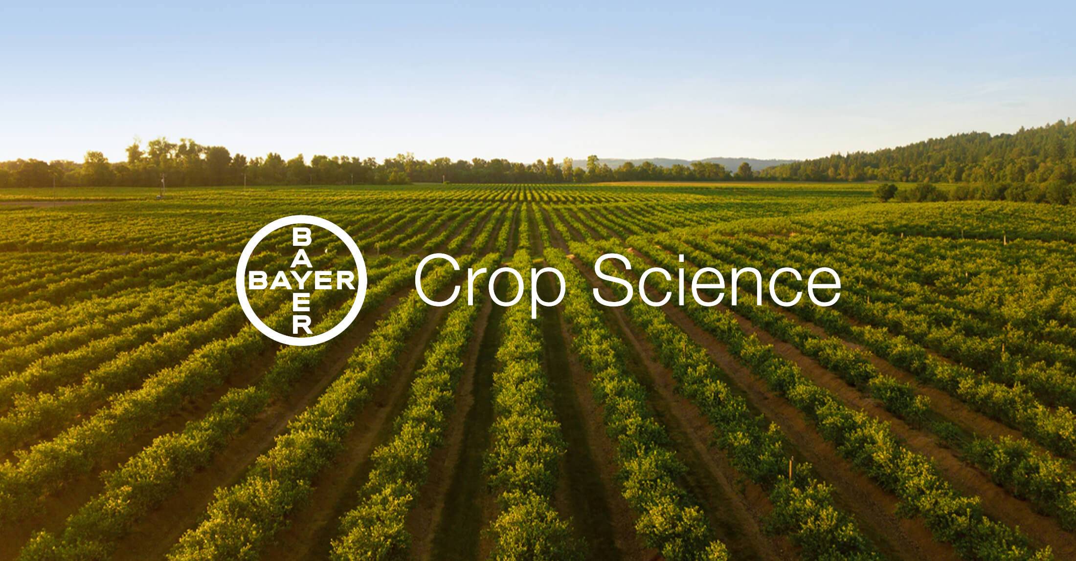 Bayer crop protection product portfolio
 | crop science us