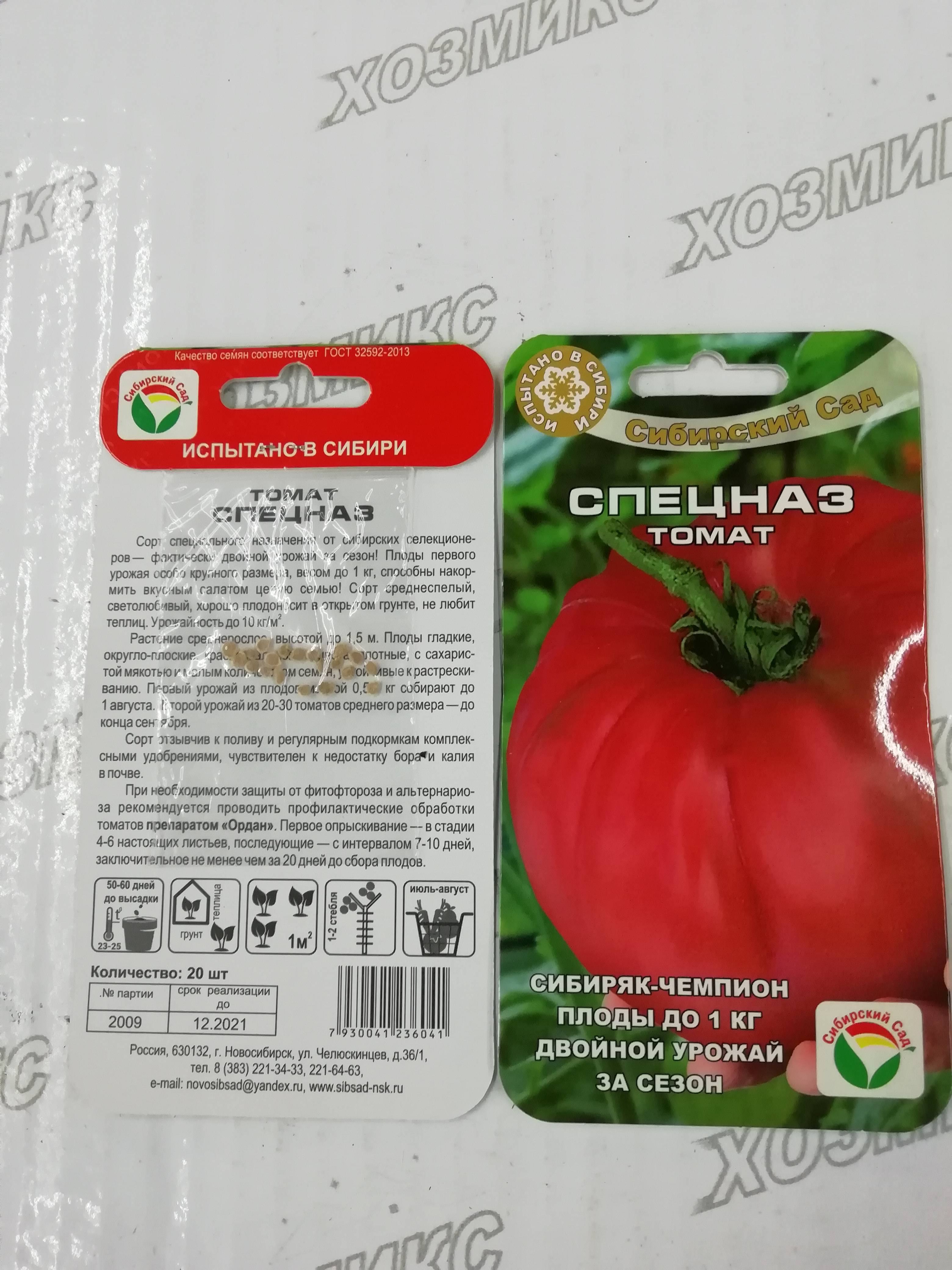 Томат спецназ: характеристика и описание сорта, отзывы садоводов и фото полученного ими урожая помидоров