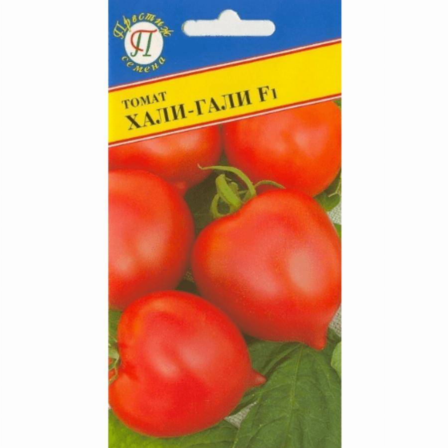 Сорт томатов хали гали, описание, характеристика и отзывы, а также особенности выращивания