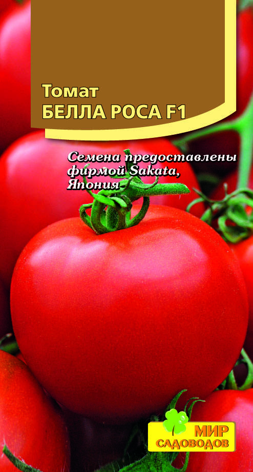 Описание, характеристика, посев на рассаду, подкормка, урожайность, фото, видео и самые распространенные болезни томатов сорта «белле f1».