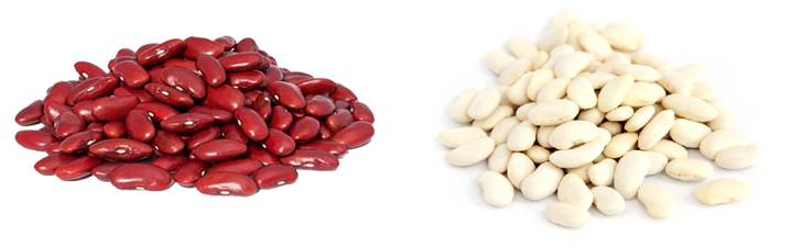 Какая фасоль полезнее – белая или красная: калорийность и свойства фасоли