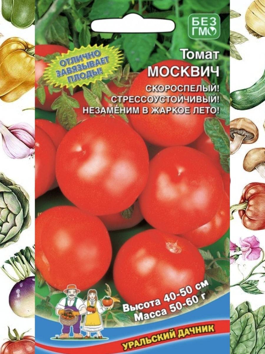 Томат москвич - отличный сорт для регионов с коротким летом