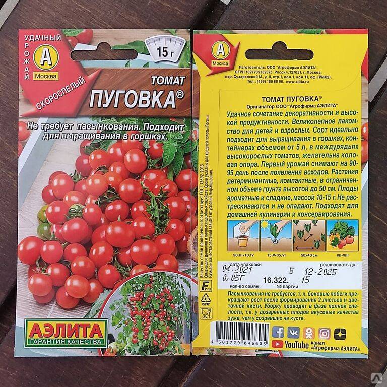 Выращивание сорта томата пуговка, его характеристика и описание - всё про сады
