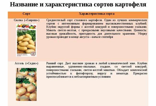 ✅ гулливер: описание сорта картофеля, характеристики, агротехника