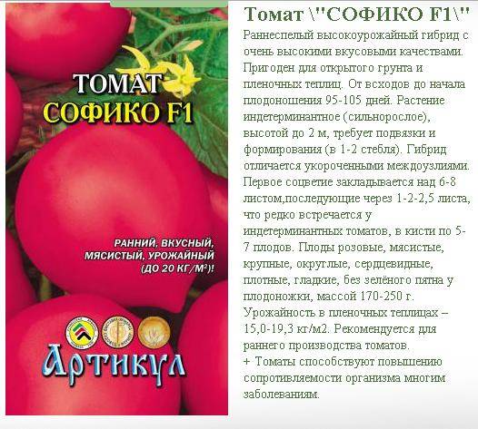 Новые сорта томатов: обзор на 2021 год - сельхозобзор.ру