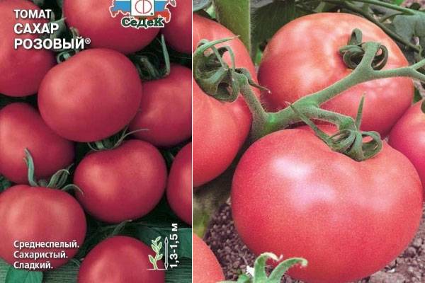 Характеристика томата сахарок и агротехника культивирования в закрытом грунте