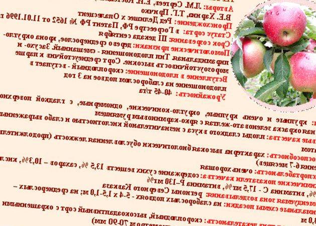 Описание сорта яблони восточное: фото яблок, важные характеристики, урожайность с дерева