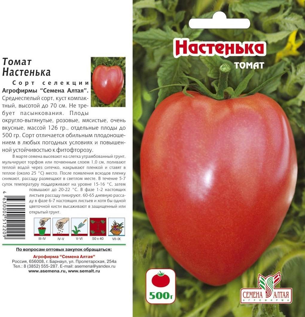 Описание раннеспелого томата Настенька и агротехника выращивания растения