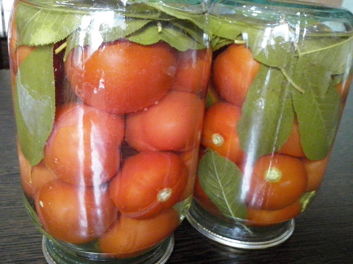 Маринованные зеленые помидоры на зиму - рецепты на любой вкус