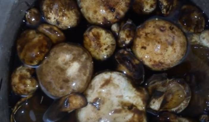 Как мариновать грибы коровники на зиму: 7 рецептов приготовления с фото