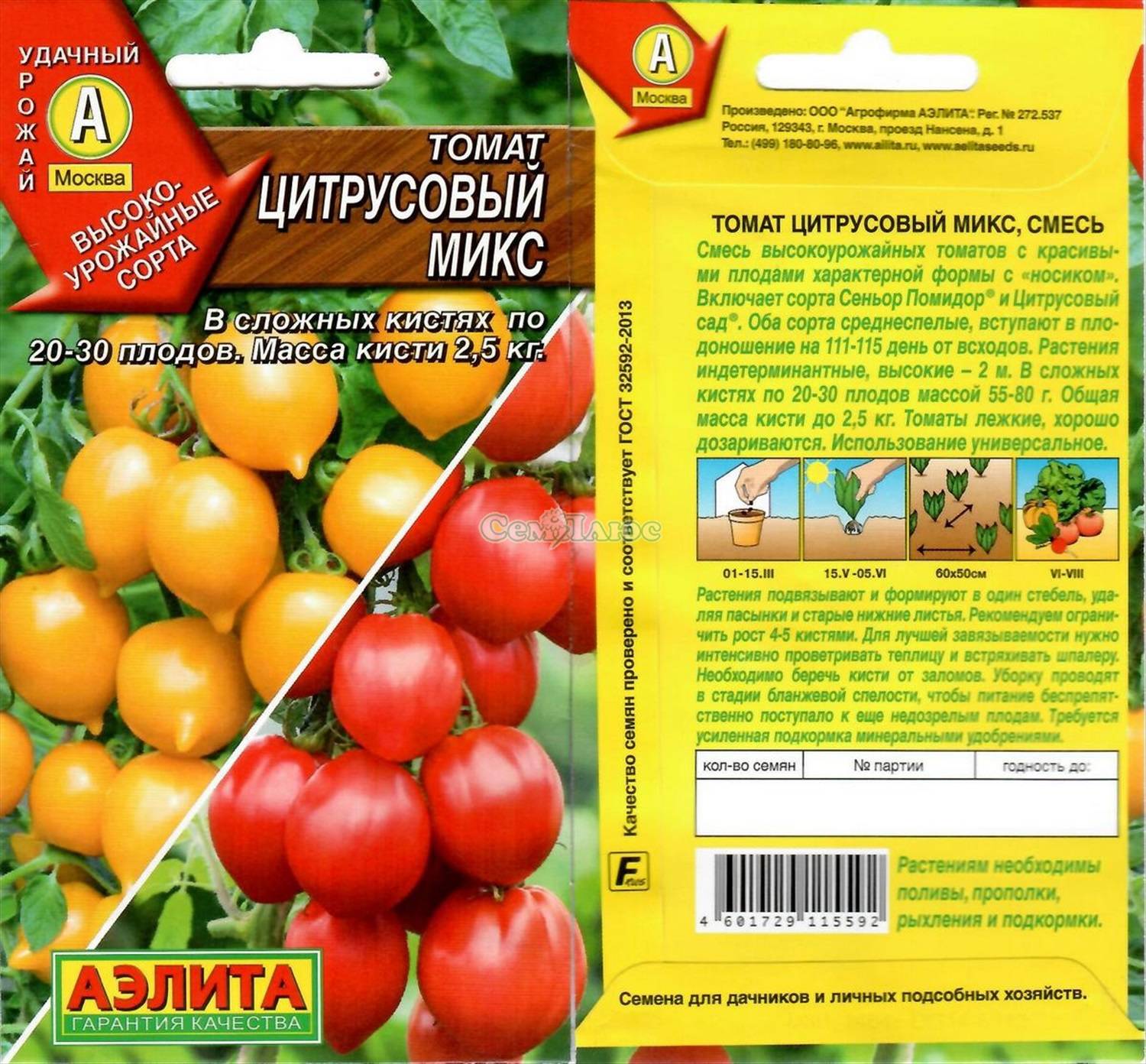 Описание среднеспелого томата рокер и правила выращивания сорта рассадным методом