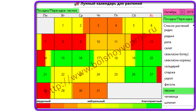 Благоприятные дни посадки чеснока в октябре. Благоприятные дни для посадки чеснока. Дни посадки чеснока в октябре. Благоприятные дни для высадки чеснока. Благоприятные дни для посадки чеснока под зиму.