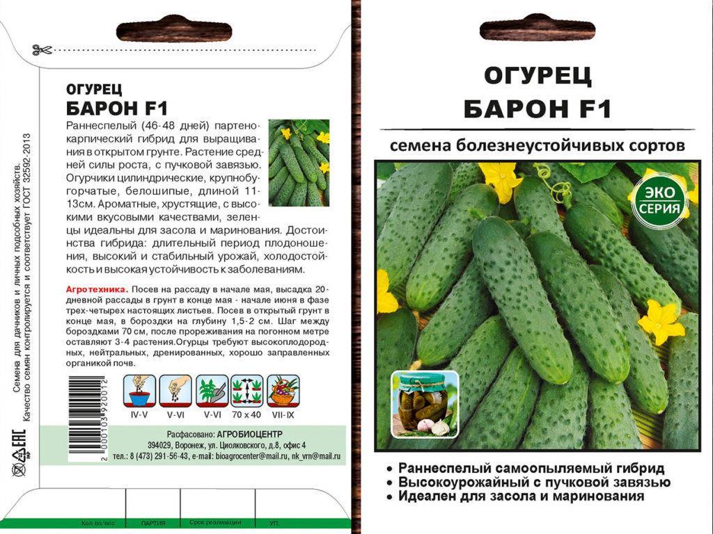 Огурец аякс f1: описание и характеристика сорта, особенности выращивания, фото, отзывы