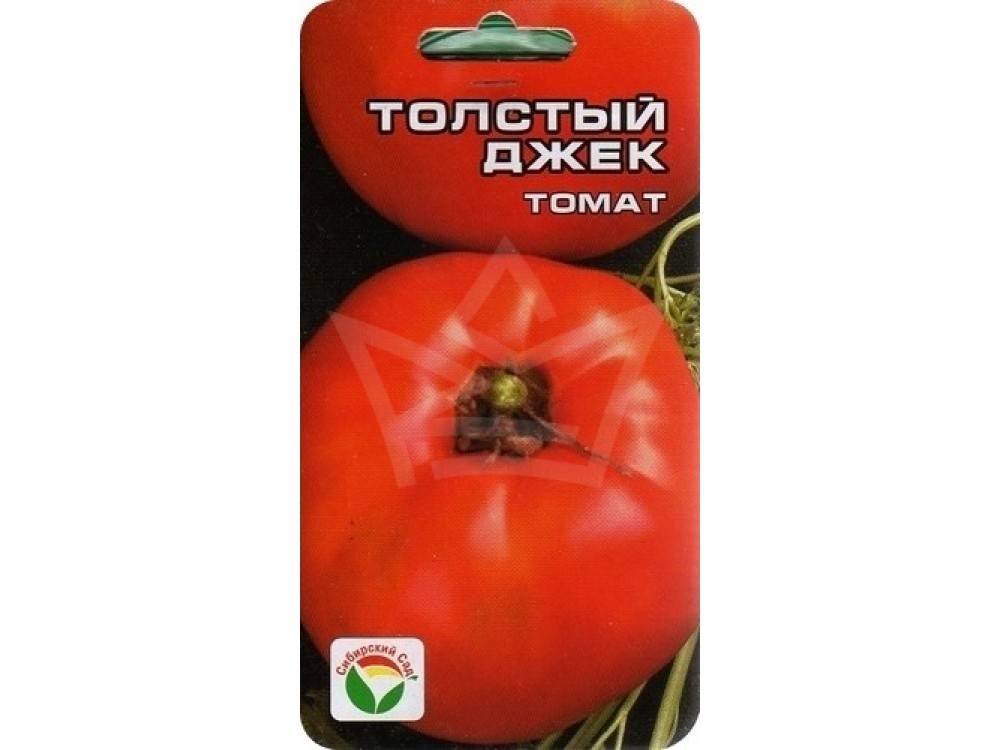 Томат "толстый джек": описание сорта и фото, характеристики помидоров и рекомендации по выращиванию русский фермер