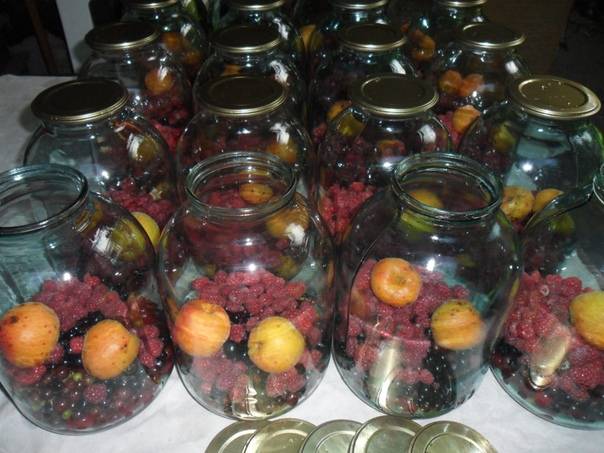 Компот ассорти из фруктов на зиму: 13 простых рецептов приготовления, как хранить