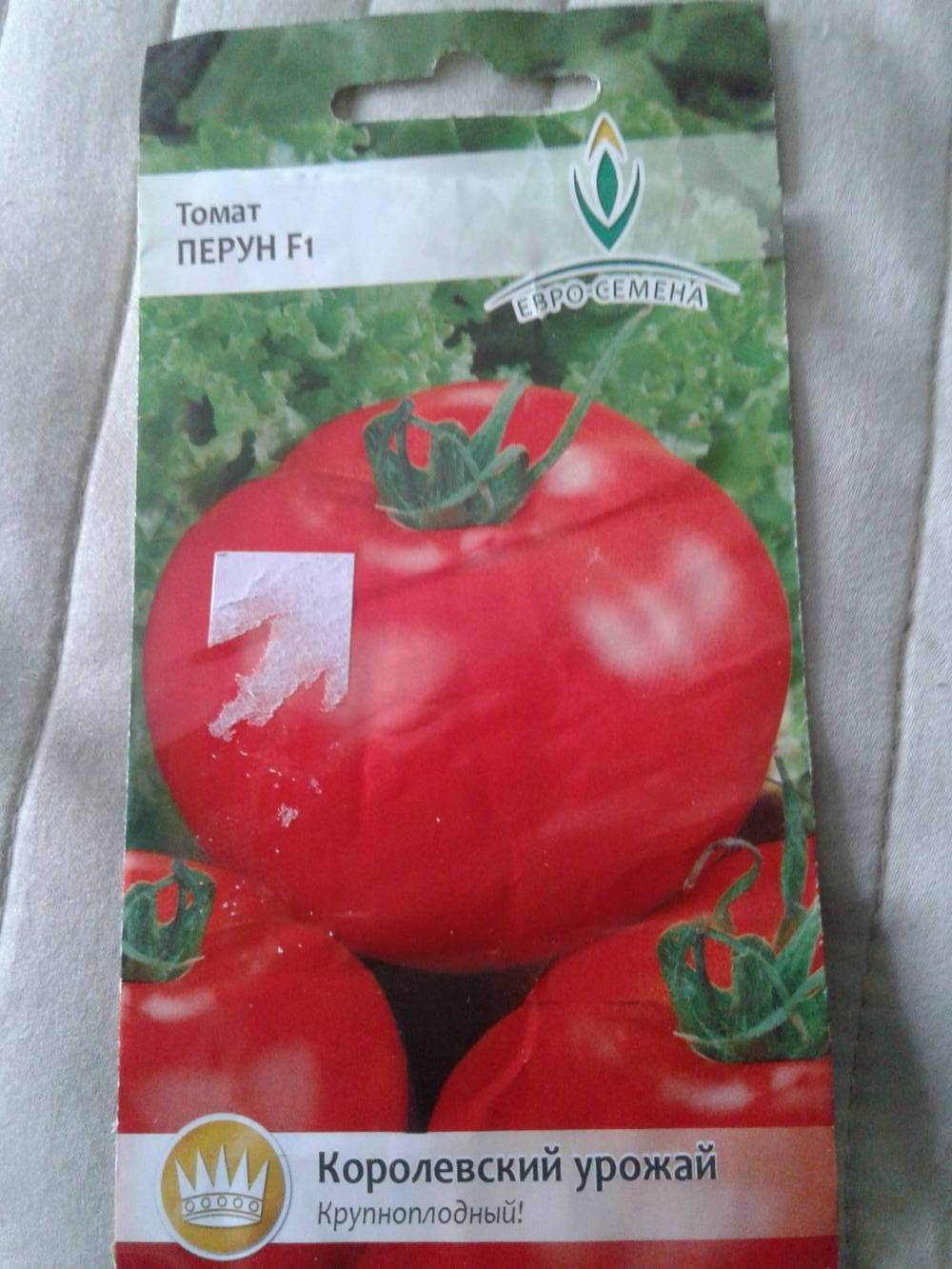 Томат берберана f1: характеристика и описание сорта, фото, урожайность, выращивание