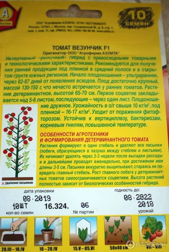 Необычное новшество в мире помидоров — томат черная лакомка: описание сорта и характеристики