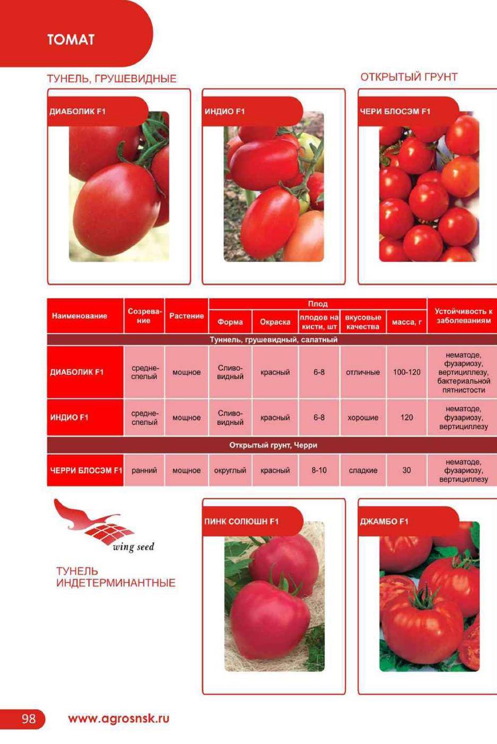 Описание сорта томата Диаболик f1, особенности выращивания и ухода