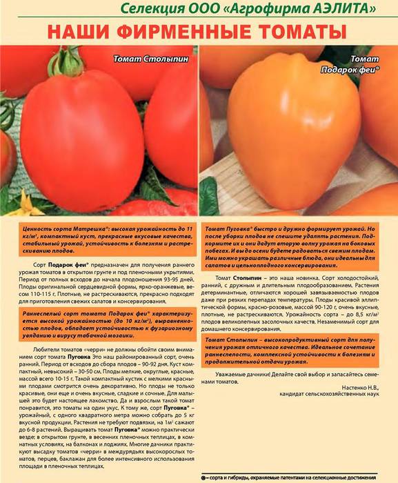 Семена томат подарок женщине f1: описание сорта, фото