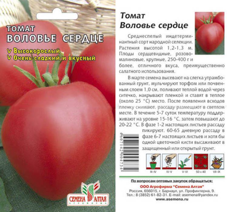 Описание сорта томата Воловье сердце, особенности выращивания и ухода