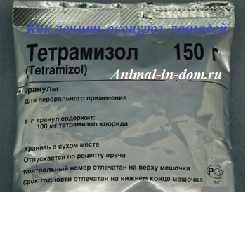 Дозировка тетрамизола. Тетрамизол 10% (порошок), 100г. Гранулят «тетрамизол 10%. Тетрамизол препарат ветеринарный. Тетрамизол для свиней дозировка.