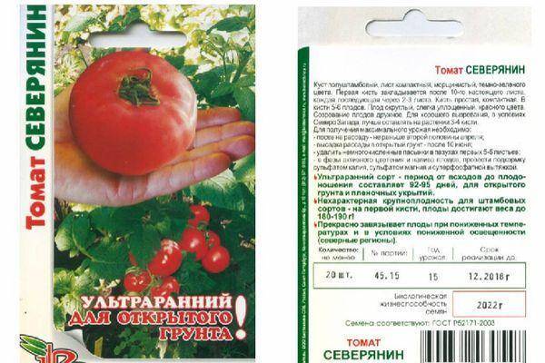ᐉ томаты "лев толстой" f1: описание и характеристики сорта, выращивание и урожайность, фото плодов-помидоров - orensad198.ru
