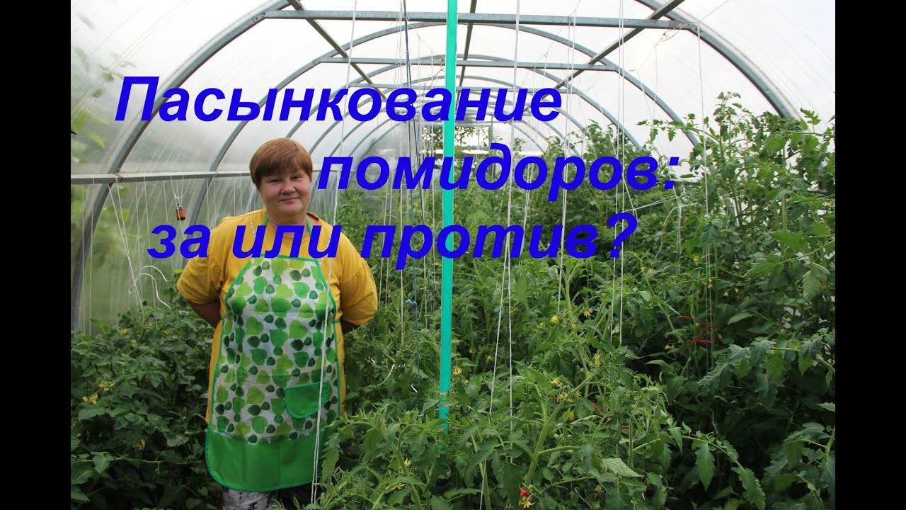 Юлия миняева / асиенда.ру