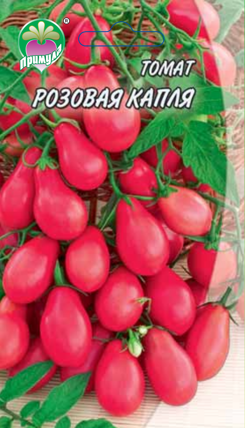Томат капия розовая: характеристика и описание сорта, особенности выращивания