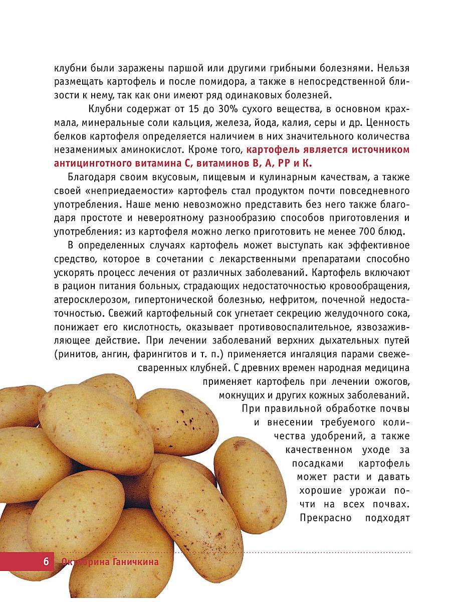 Описание и характеристика картофеля сорта Гулливер, посадка и уход