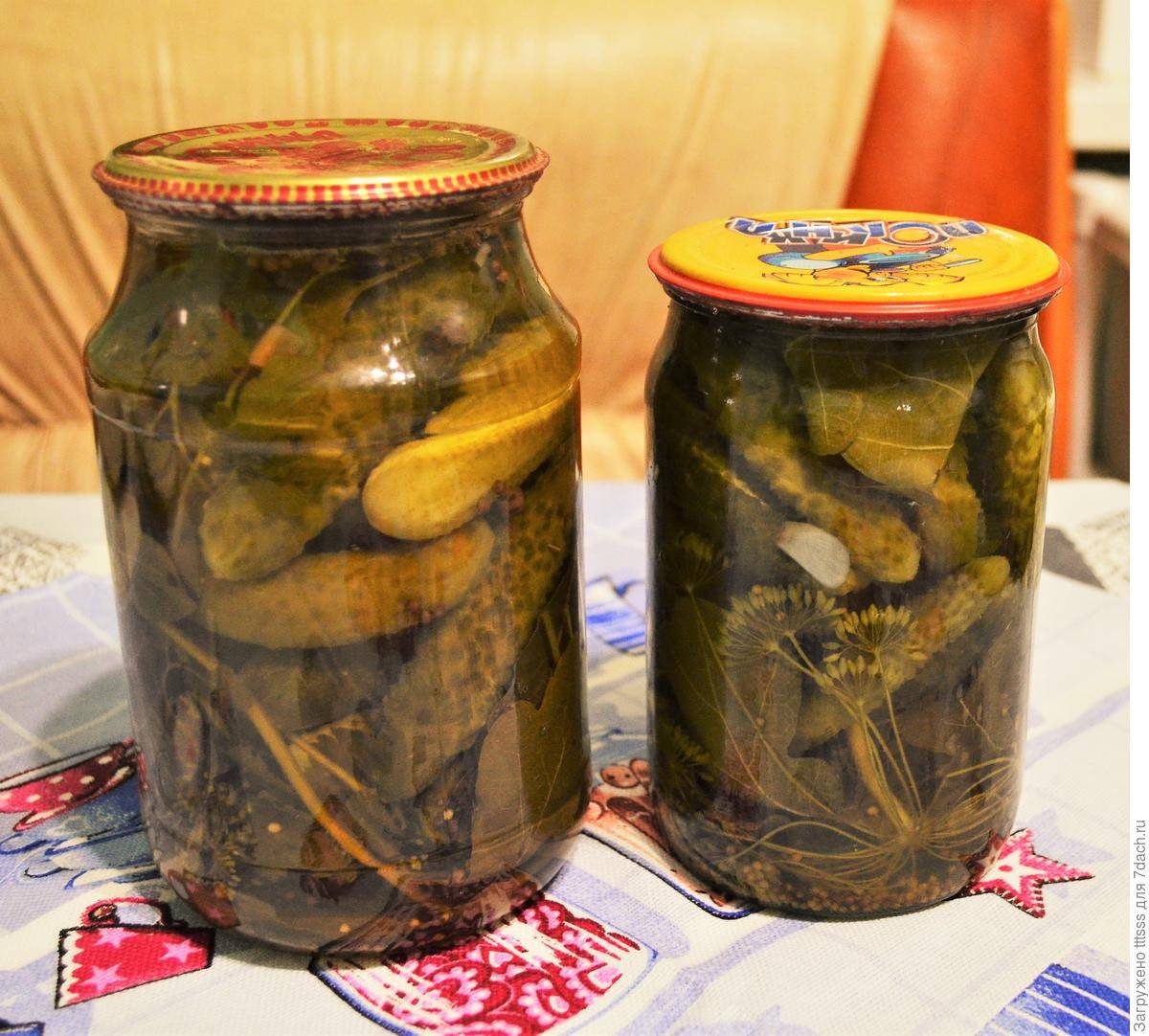 Консервация огурцов корнишонов: самые вкусные рецепты на зиму, хранение в домашних условиях