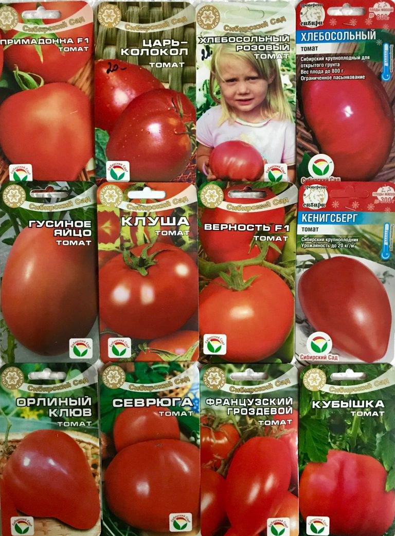 Самые урожайные семена томатов сибирской селекции: свойства семян, описание и каталог сибирский сад