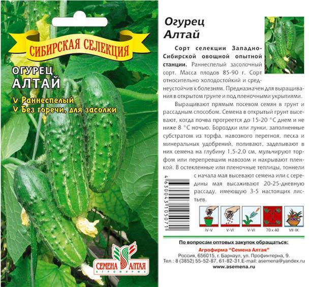 Описание сортов огурцов польской селекции, их выращивание и уход