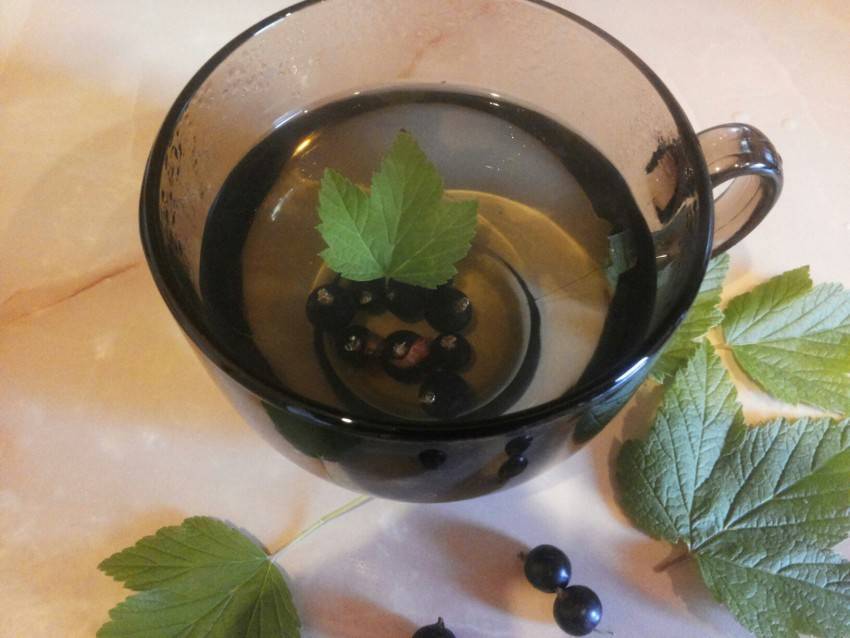 Чай из листьев смородины и малины: польза и вред. ферментированный чай из листьев смородины :: syl.ru