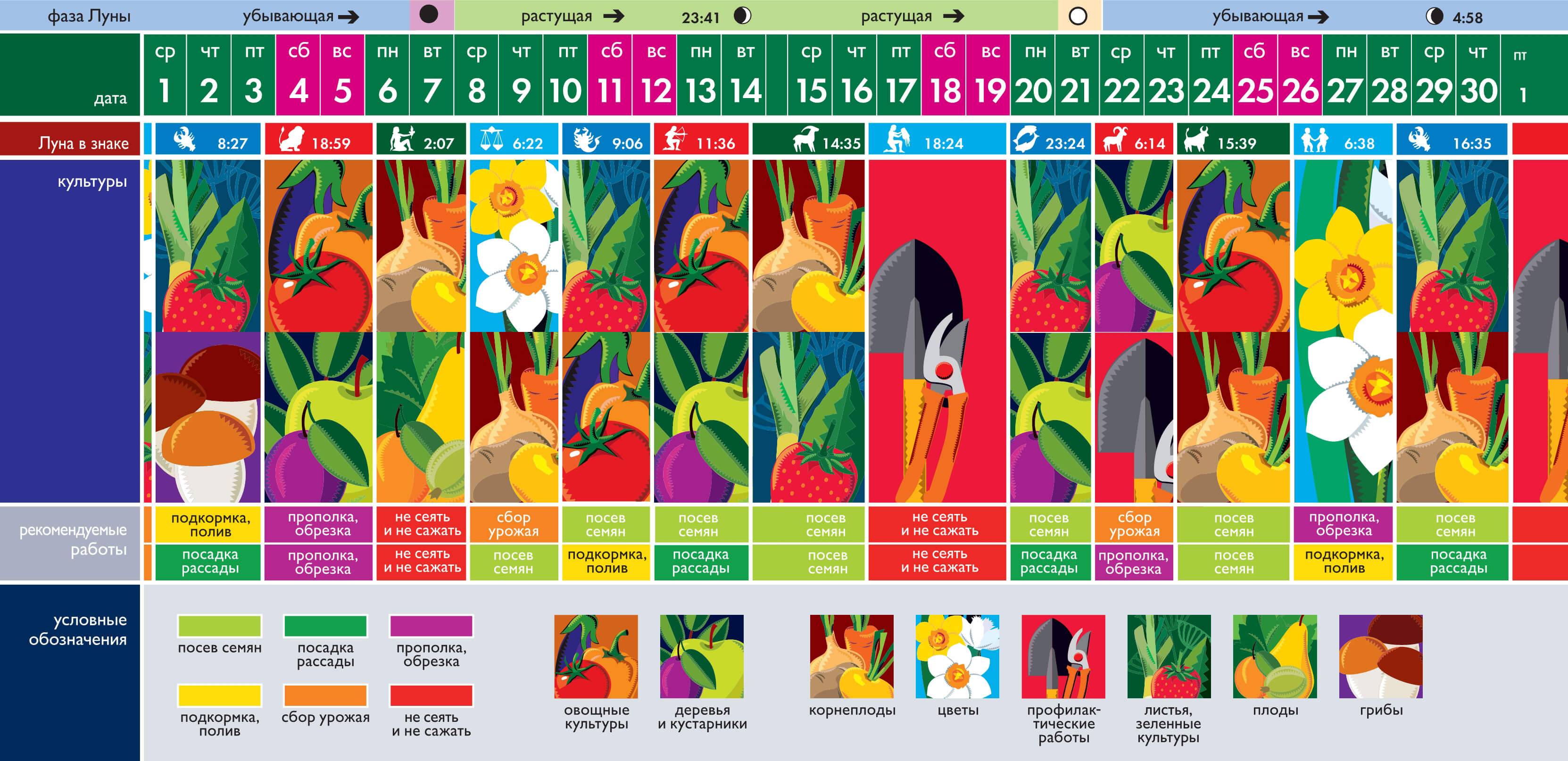 Лунный календарь для растений по дням на сентябрь 2021 :: инфониак