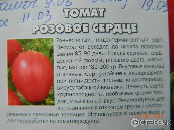 Томат розовое сердце: описание сорта и советы по выращиванию русский фермер
