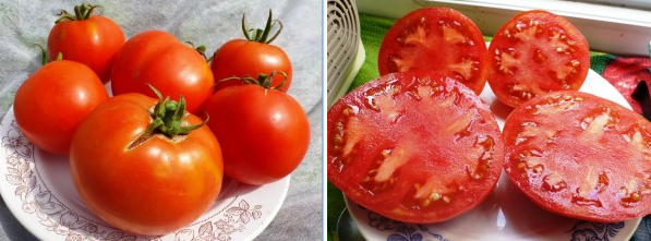 Плоды, идеальные для салатов и свежего потребления — томат бон аппетит: полное описание и отзывы