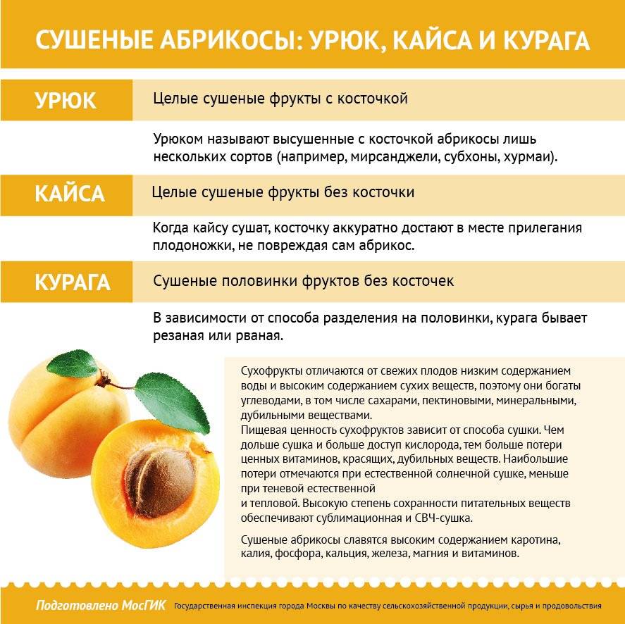 Польза и вред абрикосов для здоровья, калорийность