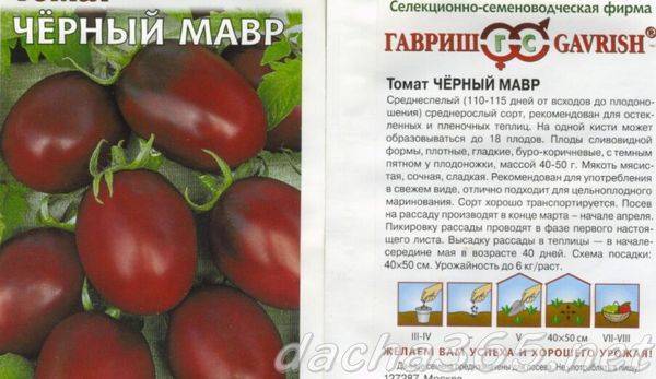 Сорт подснежник – томат для холодных регионов. описание и отзывы