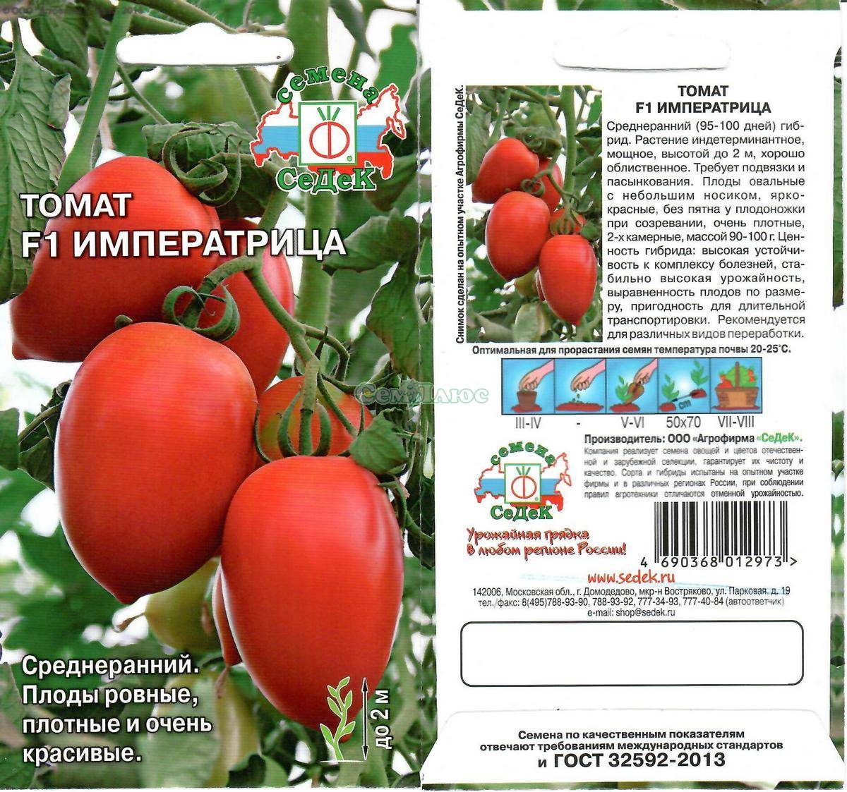 Томат толстый джек — сорт помидоров, способный вырасти даже на территории сибири